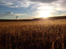 Iceland-Iceland Shorts-Sheep Round-Up on Horseback